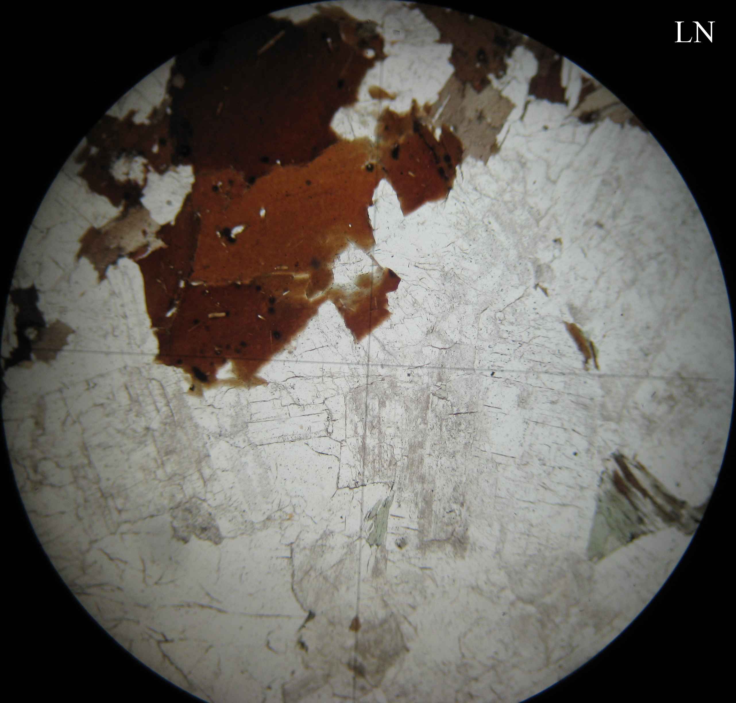 Lumire Polarise Analyse