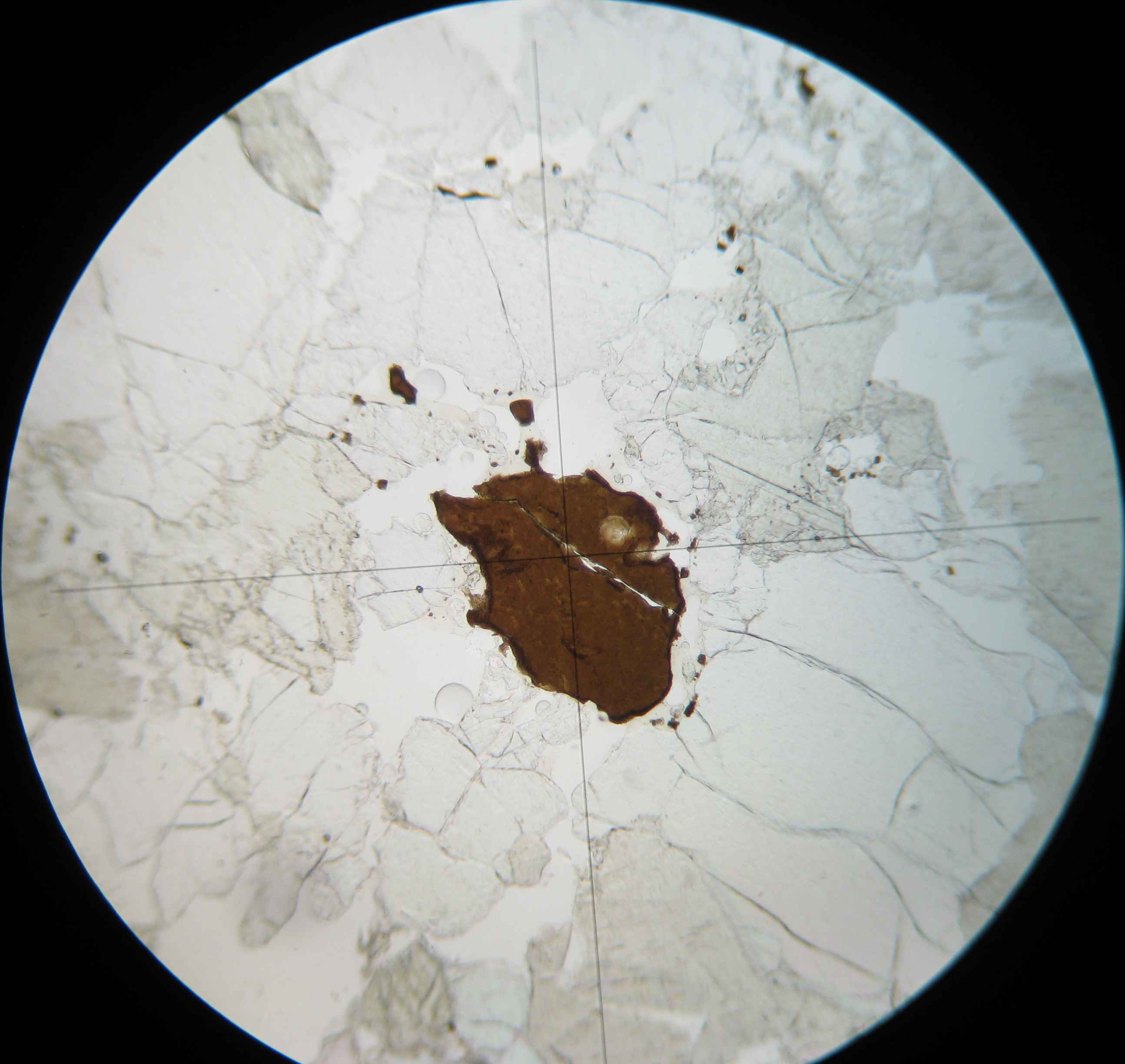 Lumire polarise analyse